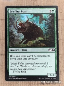 MTG Magic Core Set 2019 Singles - Mix & Match cards to save up to 35%!