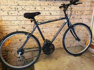 giant mountain bikes gumtree