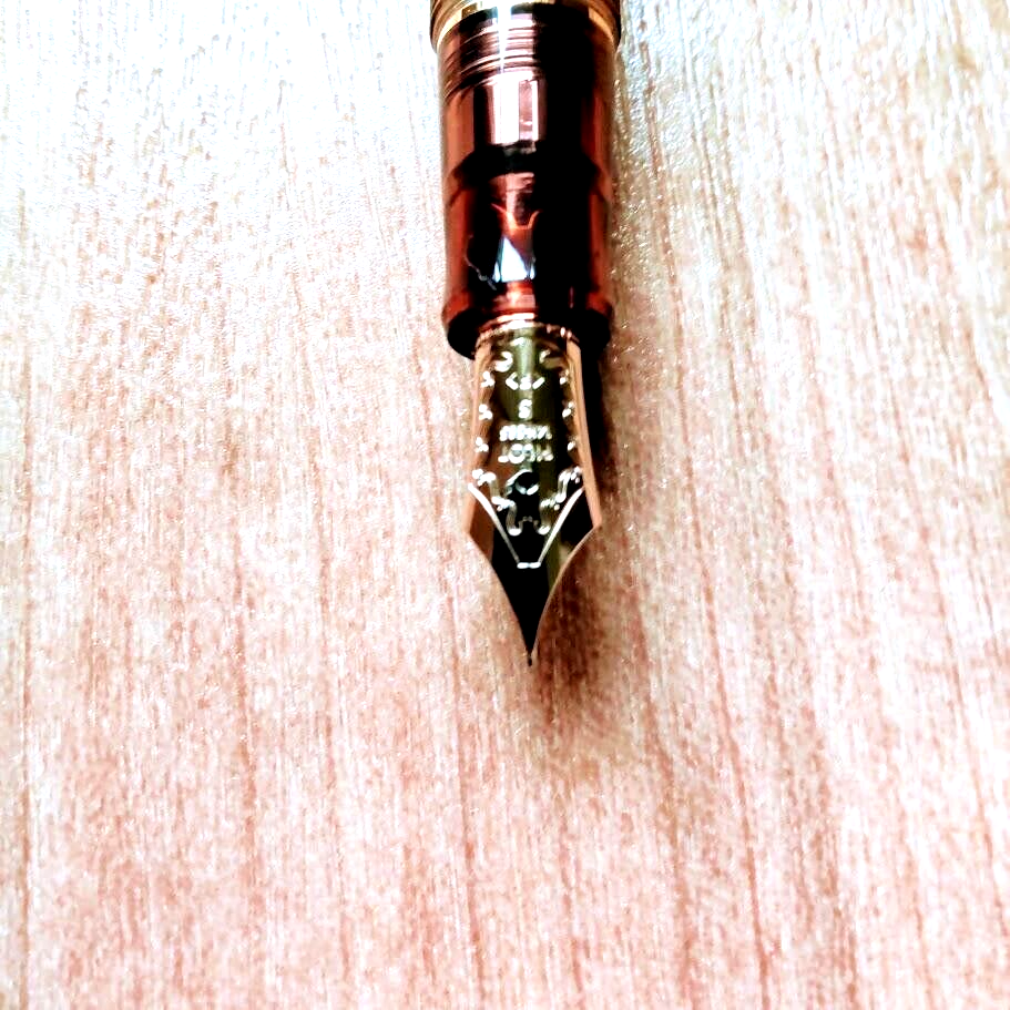 PILOT custom 74 fountain pen 14K 585 F limited edition NEW from