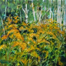 Goldenrod