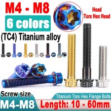 M4 M5 M6 M8 Titanium Bolts Flange Head Hex Screw Grade 5 Fastener T30 Torx Screw