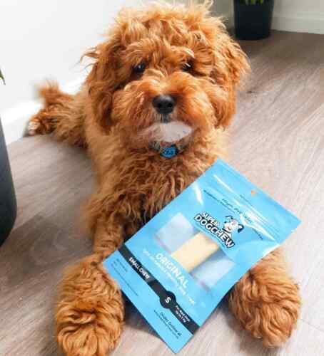 Super Himalayan Dog Chew,Natural Long Lasting Dog Treat-SMALL for Dog<7 KG-2 pc - Picture 6 of 12