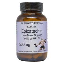 EPICATECHIN | Lean Mass Support | 500mg | 60 Veggie Capsules | Glass Bottles