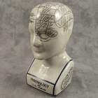 Porcelain L.N. FOWLER 7" PHRENOLOGY HEAD BUST Science Psychology CRACKLE GLAZE