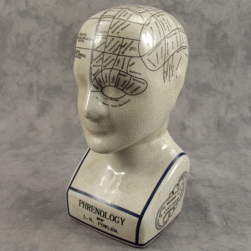 Porcelain L.N. FOWLER 7" PHRENOLOGY HEAD BUST Science Psychology CRACKLE GLAZE