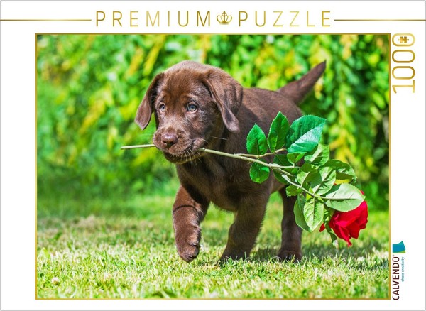Calvendo Puzzle Der Rosenkavalier | 1000 Teile Lege-GrößE 64 × 48 Cm Foto-Puzzle-image