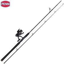 PENN canna da spinning pesca in acqua salata-mulinello combinato WRATH II...