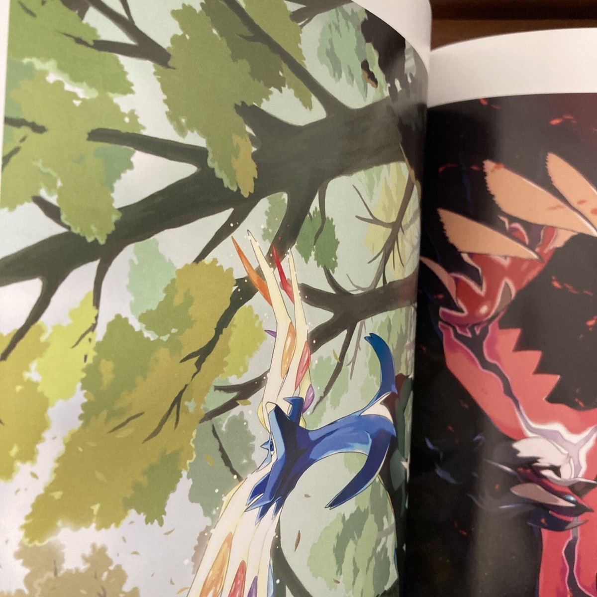Pokemon X and Y World Art Book w/ CD Illustration | eBay