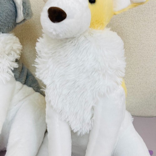 Borzoi Kuttari Ultra Grande Muñeca de Peluche Juguete Set de 2 Perros Juego de 2 Colores Raro Taito JP - Imagen 19 de 24