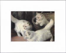 Imagen artística de gato gatito con impresión mate blanco de 8X10": Arthur Heyer, gatitos de angora