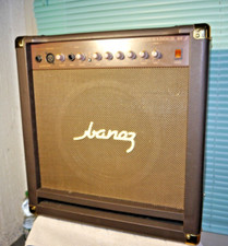 Ibanez Troubadour 25 Acoustic Amplifier