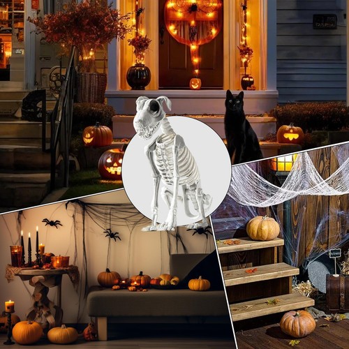 Halloween Skeleton Dog Prop Horror Animal Bones Halloween Party Decorations - Foto 2 di 5