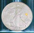 2025 $1 American Silver Eagle PRIVY, Brilliant Uncirculated, From Tube, Fast 🚢