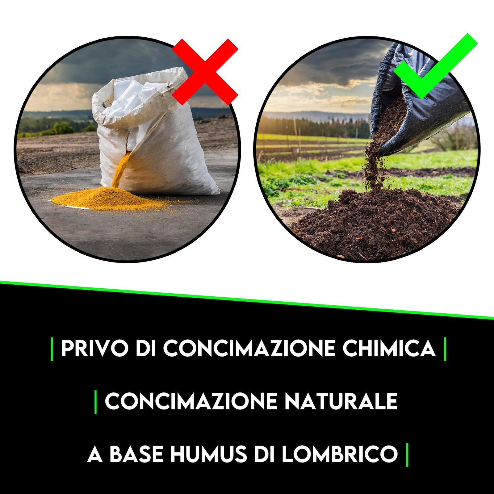 Foto 5 di 24