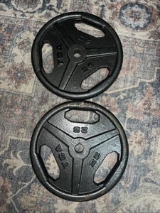 2 Plaques De Fonte 25 Lb – 50 Lb Au Total – Poids Standard Occasion
