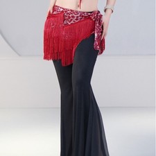Lady Leopard Print Belly Dance Skirt Wrap Dancewear Costume Hip Scarf Tassle New
