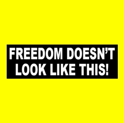 ''FREEDOM DOESN'T LOOK LIKE THIS'' Anti Joe Biden BUMPER STICKER vaccine mandates