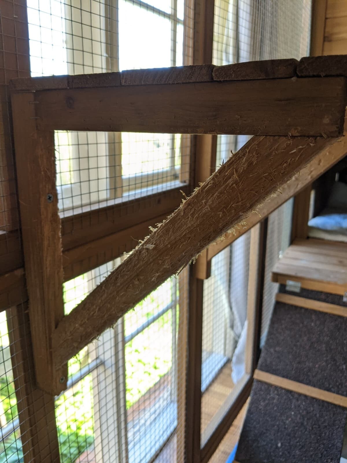 Outdoor Cat Enclosure eBay