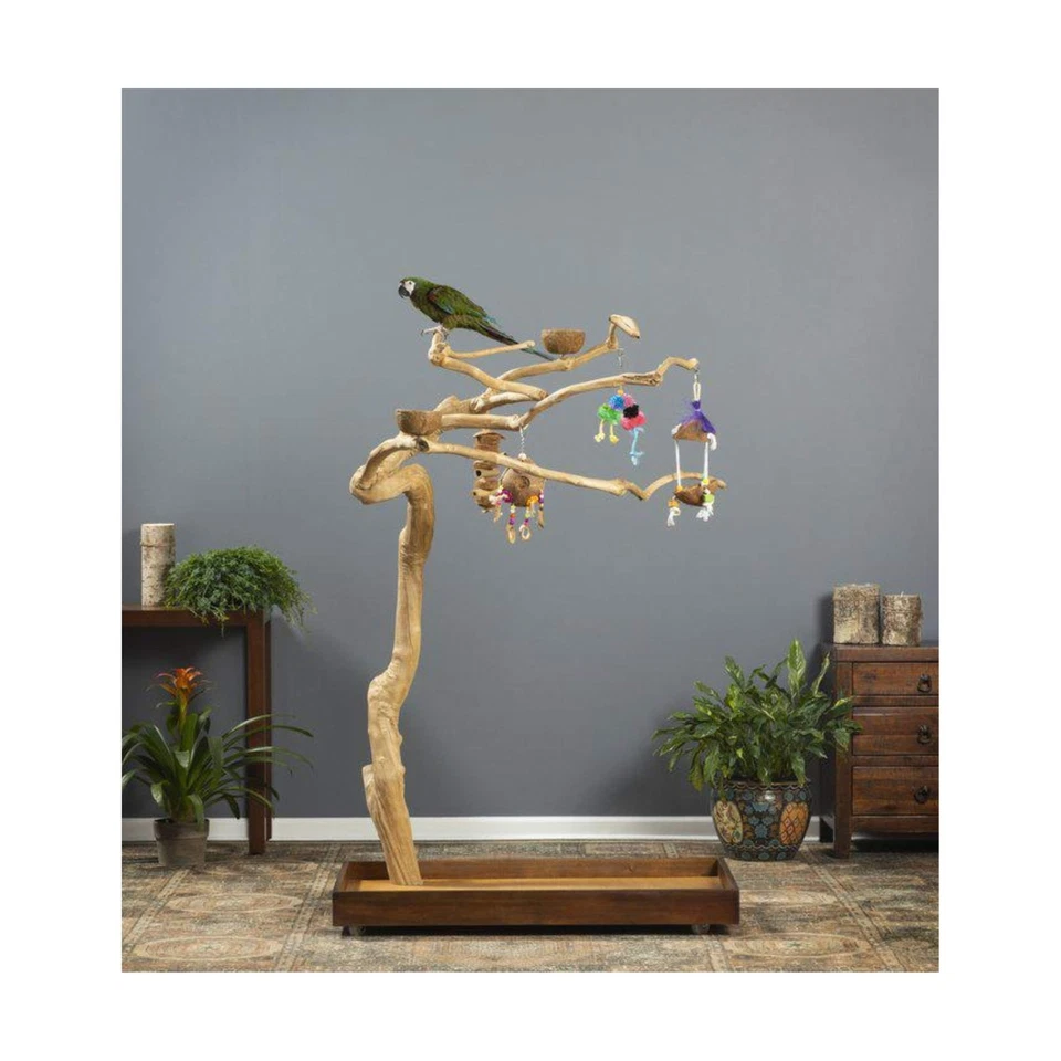 Prevue Pet Products Coffeawood Tree Style # 2 (Medium) Medium - Image 2 of 4