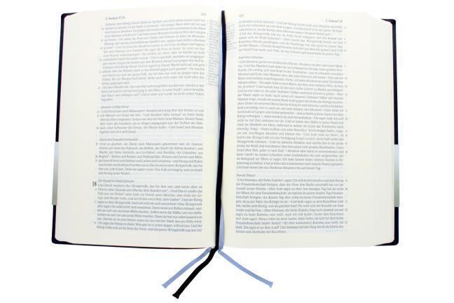 Thumbnail - Cyrus I. Scofield Scofield-bibel - Kunstleder