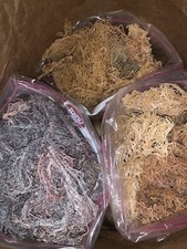 Irish Moss Sea Moss 4 oz. Raw Wild Crafted Organic Jamaican Sea Moss Vegan