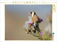 CALVENDO Puzzle Stiglitz 1000 Teile Lege-Gr e 64x48cm Foto-Puzzle f r gl ckli