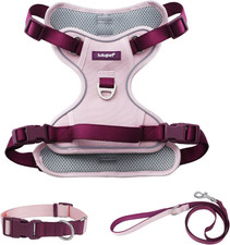 3 in 1 No Pull Dog Harness Leash and Collar Set, Soft Adjustable Dogs Vest Refle