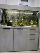 Freshwater /tropical Fish Tank