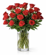 - Red Roses - 24 Long Stems,Long Lasting, Hand-Tied in Eco-friendly,Vase Not ...