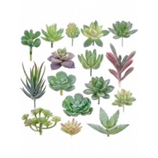 16Pcs Mini Unpotted Artificial Succulents Flocked Faux Plant Picks Decor