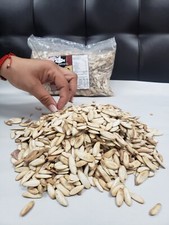 1 LB TOASTED PUMPKIN SEEDS W/SALT FROM OAXACA
