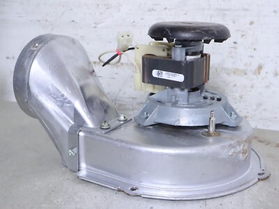良好 送料込 Lifter Puller Fiestas+Fiascos Lifter Puller