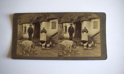 Stereoview Foto AN IRISH CROFTER AND HIS WIFE IRELAND 1902 3D Karte