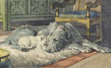 Dog Postcard: Old Print repro - Irish Wolfhound and Terrier (Westie?) - Comrades