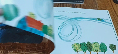 26 ERIC CARLE HARDCOVER AND PAPERBACK BOOKS: - Video 1 of 1