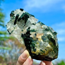332G Natural Black-Green Tourmaline with Clear Crystal Gem Mineral Specimen