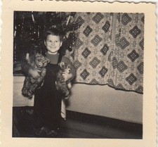old photo little boy with 2 teddy bears. Circa 1950 (H 13)
