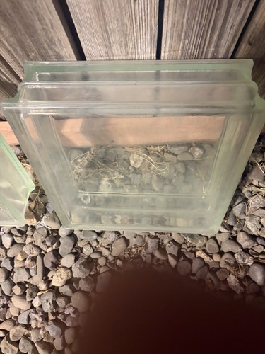 4 12” X 12” X 4” Thick Glass Privacy Blocks