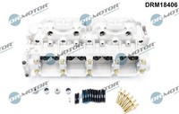 Dr.Motor Automotive Zylinderkopf U.A. FüR Dacia, Opel, Renault, Vauxhall