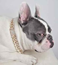 Pet Dog Cat Gold Plated Cubic Zirconia 13mm 12"  24" Iced Cuban Chain Necklace