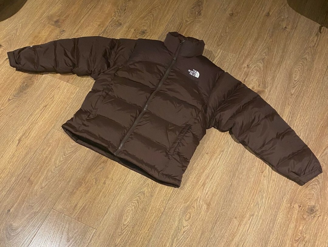 Brown Nuptse 700 Jacket. Kendall Jenner 