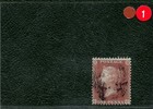 Bild 3 von 12