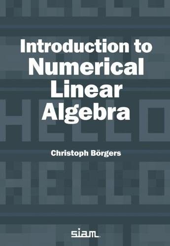 Introduction to Numerical Linear Algebra Borgers Paperback - Image 3