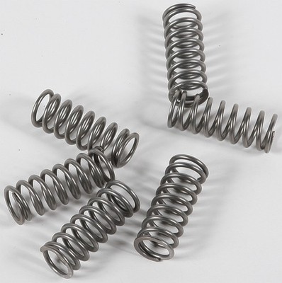 EBC Clutch Spring Set - Clutch Springs - CSK198
