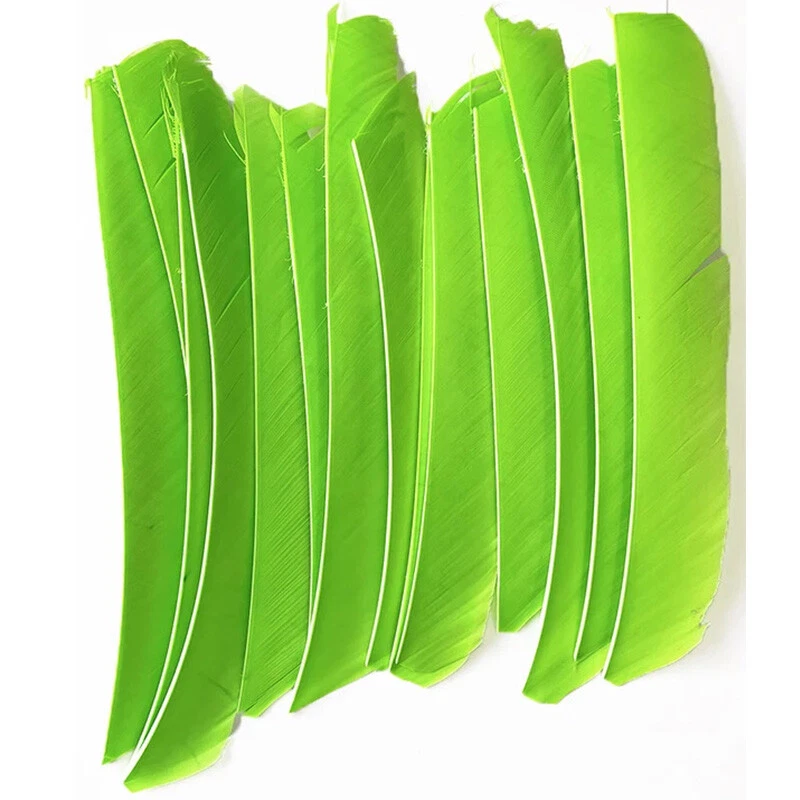 50X Full Length Arrow Feathers Turkey Fletches Archery DIY Right Left Wings - Image 2 of 4