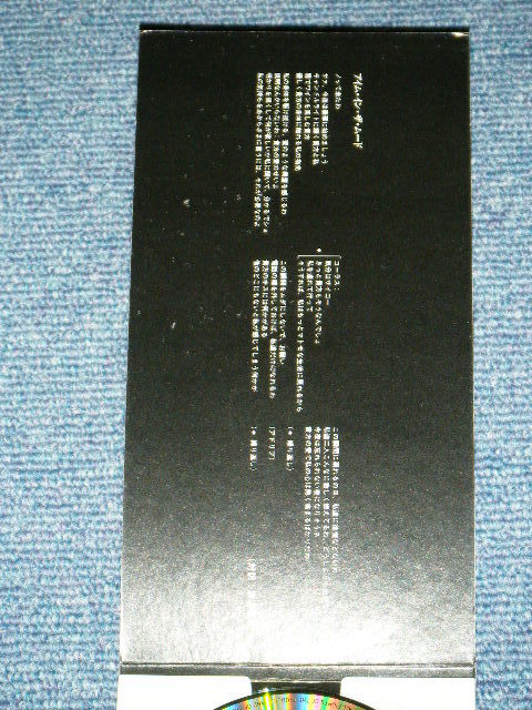 CECE PENISTON Japan 1993 NM Tall 3