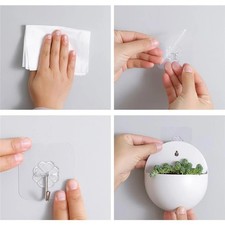 Stylish Transparent Wall Mounted Flower Pots to Brighten Up Your Space