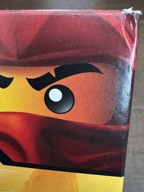 LEGO NINJAGO Jungle Raider 70755