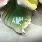 Foto 3 di 13