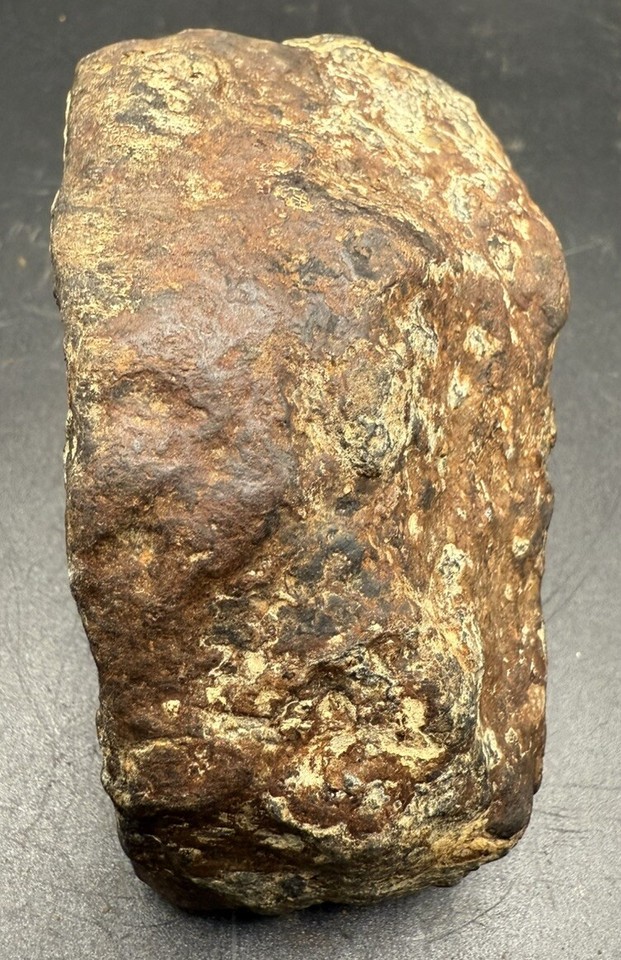 Pallasite Iron Stony Meteorite Semi Magnetic Indiana Fusion Crust 702 ...